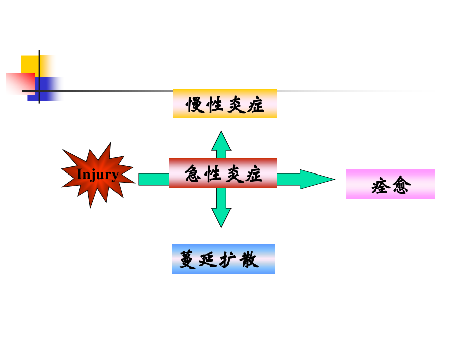 人卫第三版第十五章第三节全身炎症反应综合征与多器官.ppt_第2页