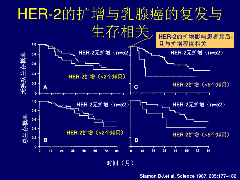 HER2阳性复发转移乳腺癌诊疗策略.ppt_第3页