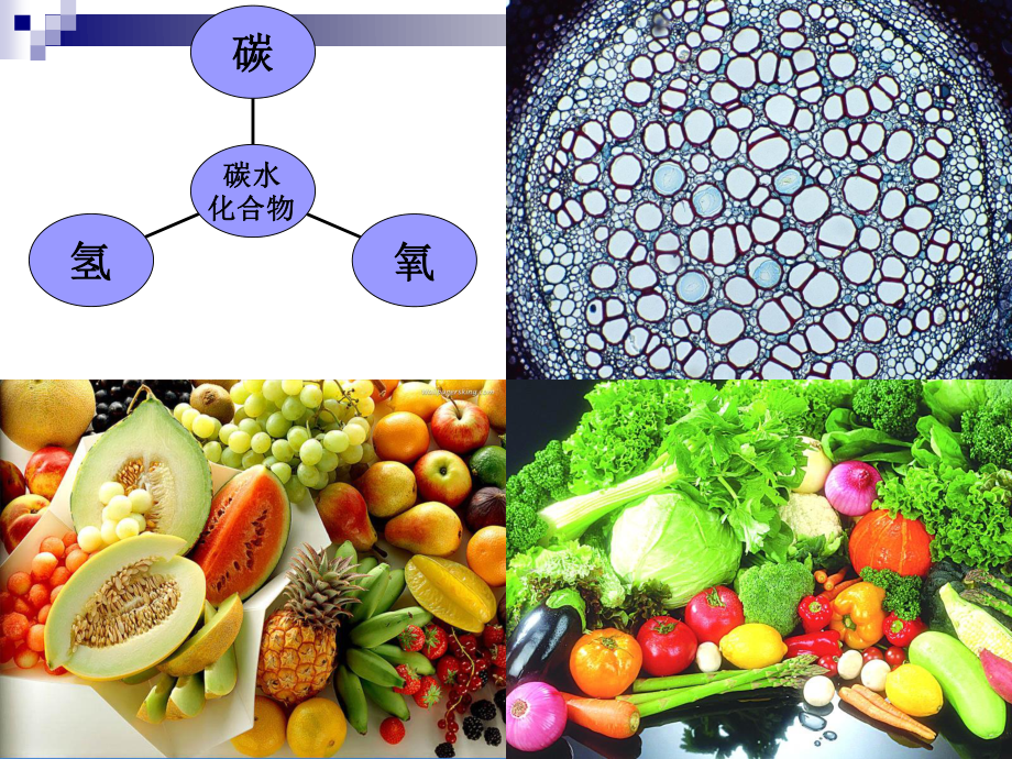 《食品营养与卫生》-第五讲-碳水化合物-2016测试版.ppt_第3页