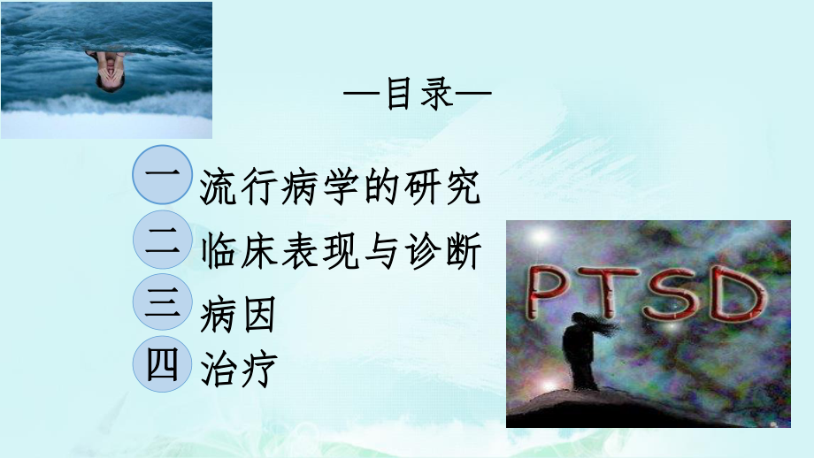 创伤后应激障碍ppt.pptx_第2页