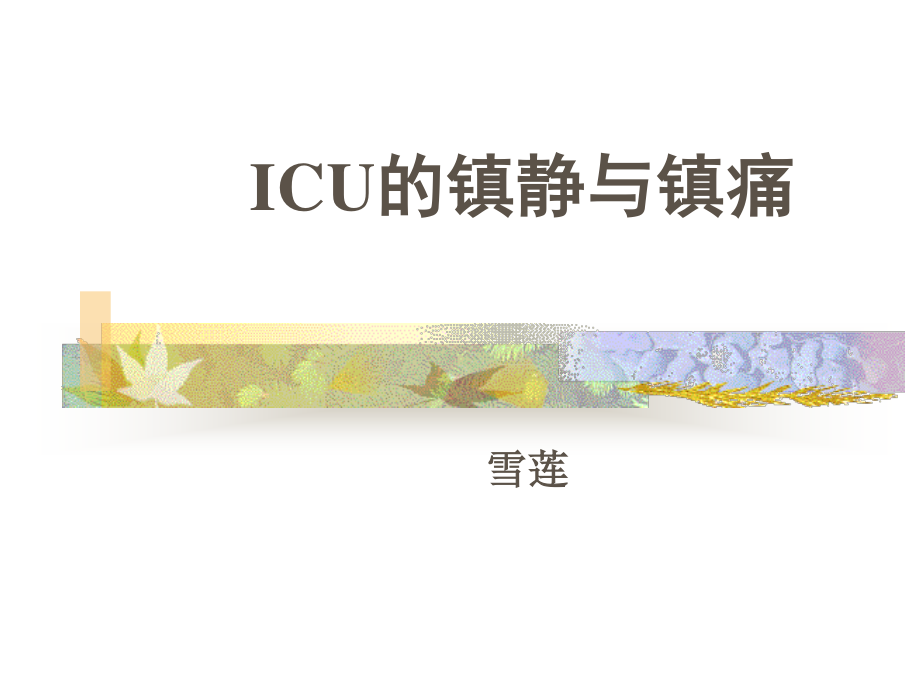 ICU的镇静与镇痛1.ppt_第1页