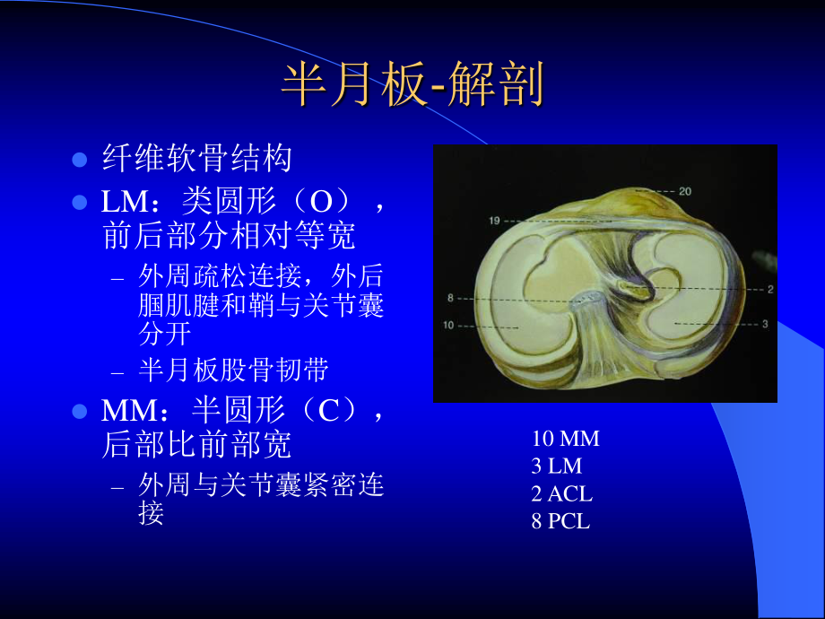 MRI膝关节.ppt_第3页