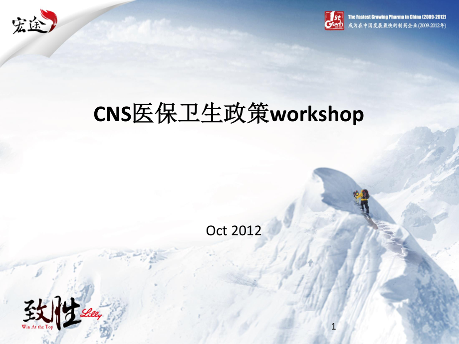 CNS医保卫生政策workshop20120913.pptx_第1页