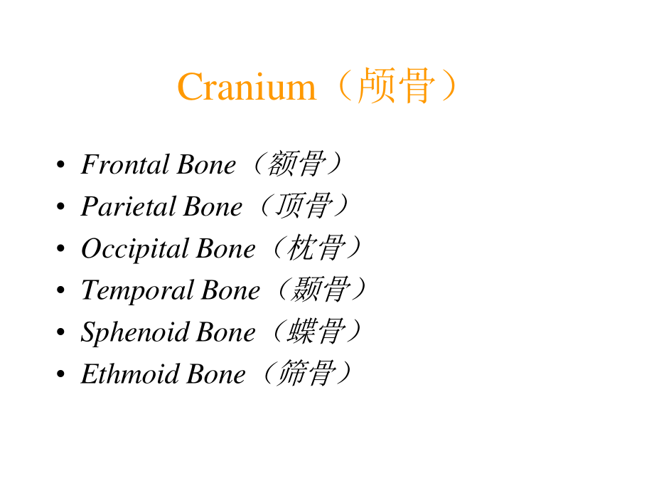 人体骨骼系统.ppt_第3页