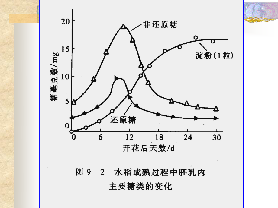 9成熟和衰老生理.ppt_第3页