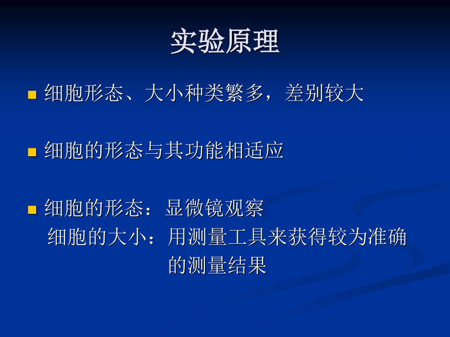 使用测微尺观测细胞的大小PPT.ppt_第2页