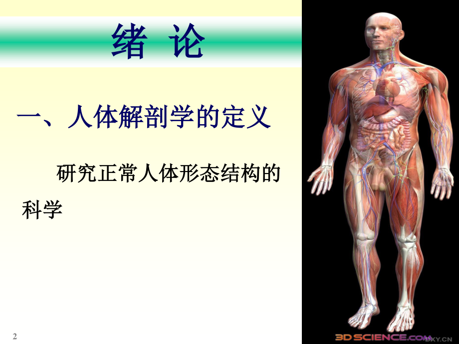 chapter01骨学.ppt_第2页