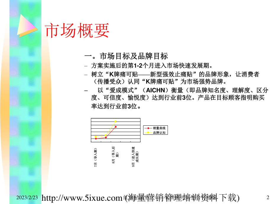 《K牌痛可贴2002届品牌整合推广案》.ppt_第2页