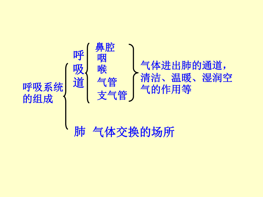 人体与外界的气体交换.ppt_第3页