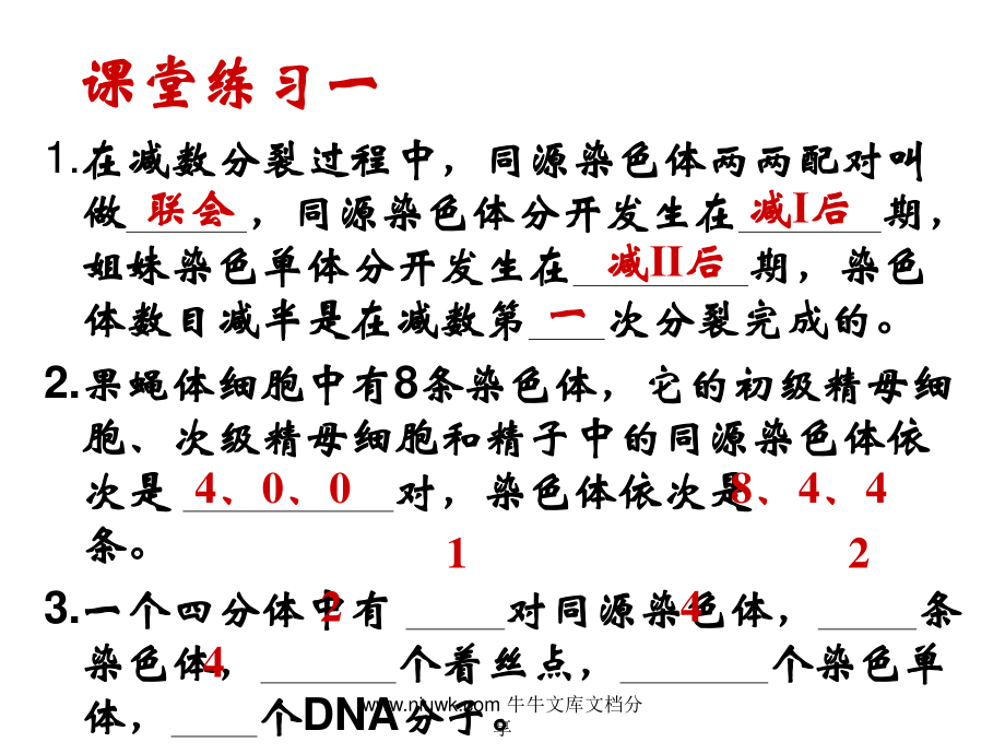 减数分裂和生殖细胞的形成.pptx_第2页