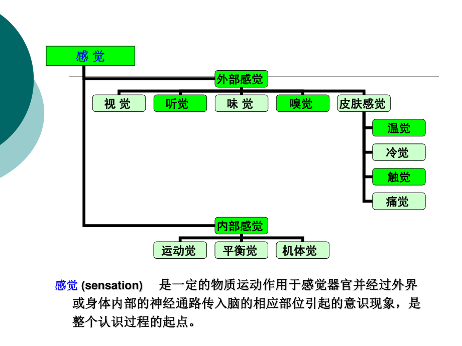 儿童认知康复进展2015.ppt_第3页