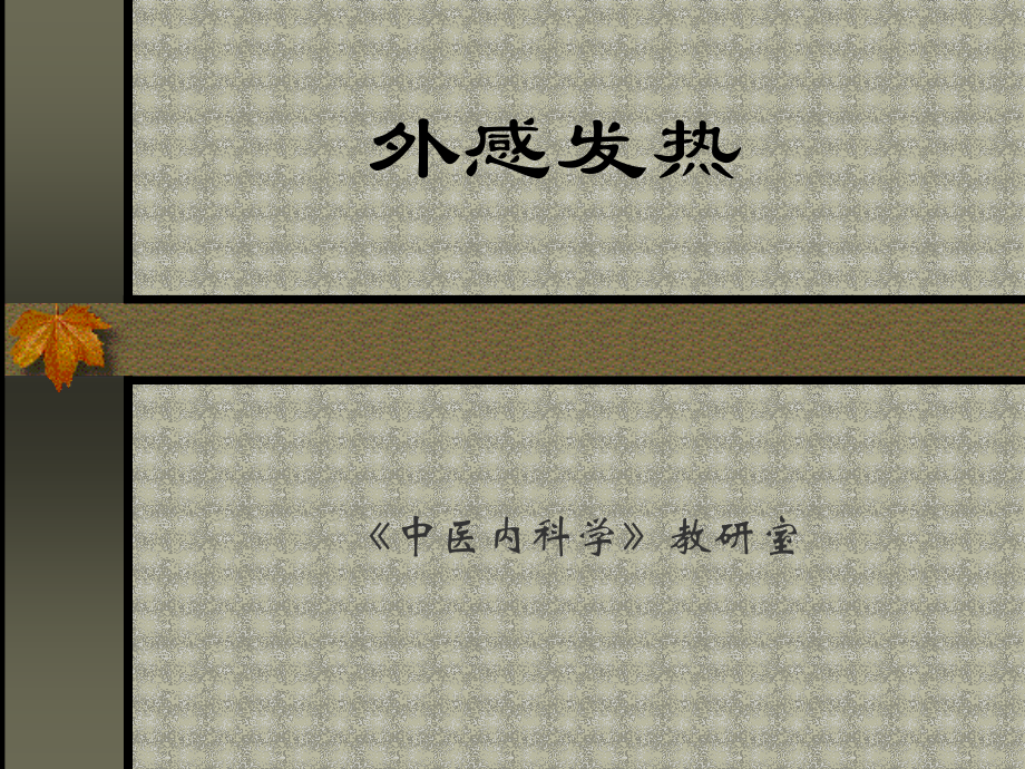 ww外感发热ppt.ppt_第1页