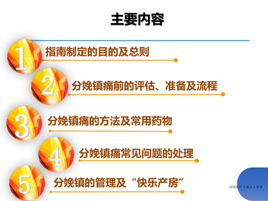 分娩镇痛指南解读20161023.ppt_第2页