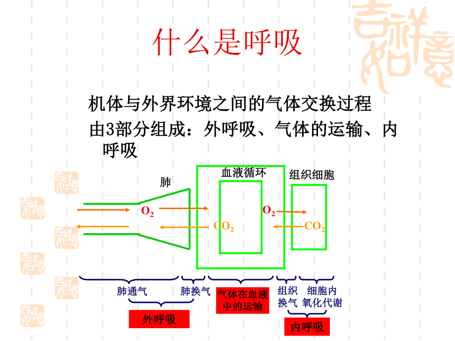 儿童呼吸衰竭与血气分.ppt_第2页