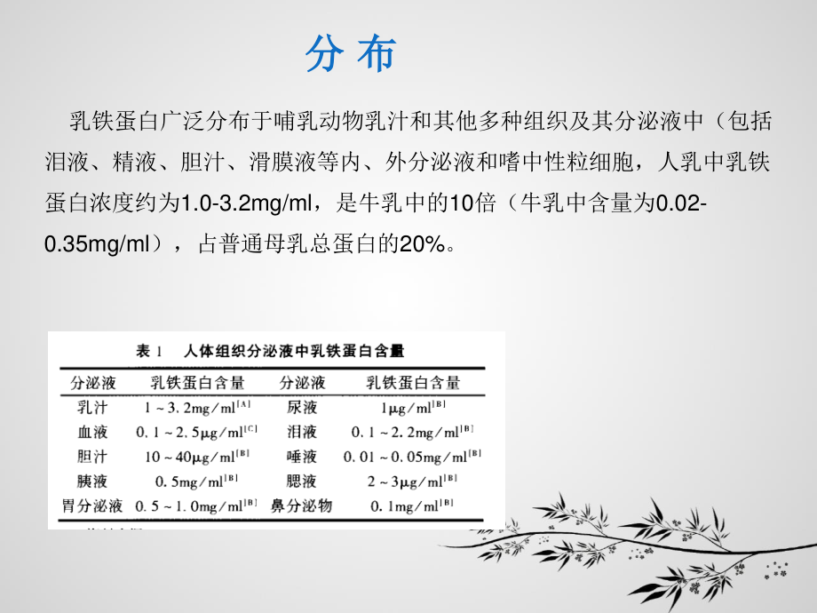 乳铁蛋白.ppt_第3页