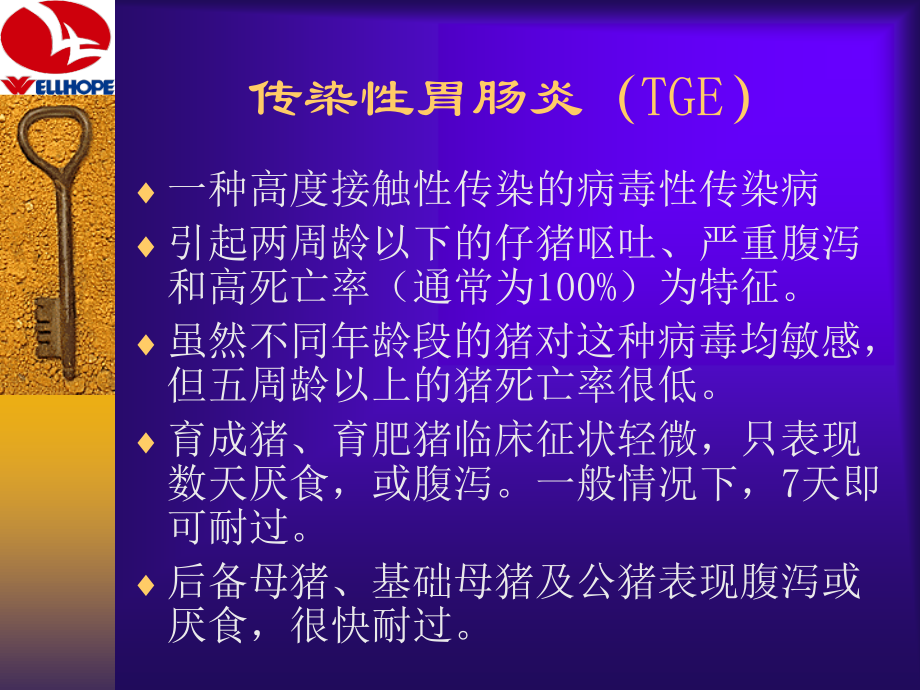 冬季养猪常见病的防制.ppt_第3页