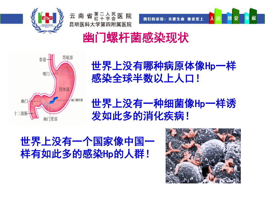 HP的诊治策略.ppt_第2页