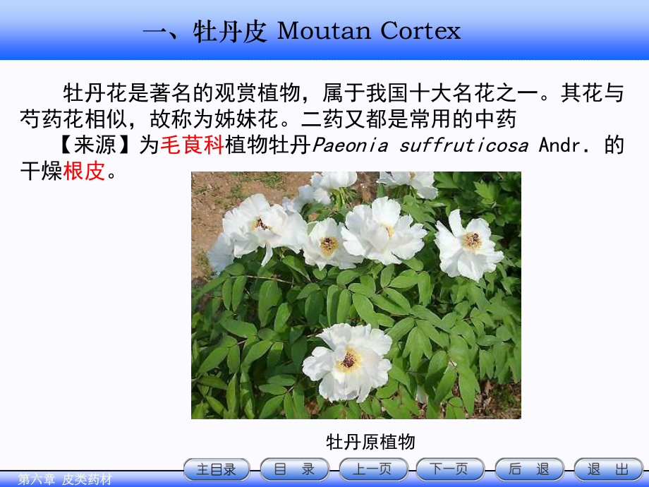 6.皮类药材详解.ppt_第2页