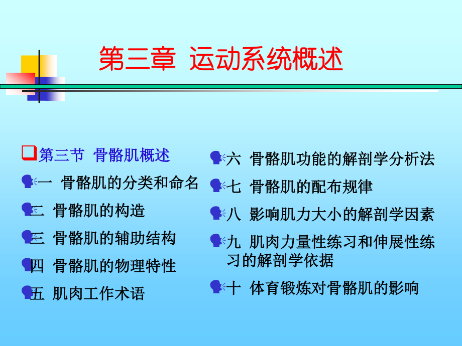 CH3-运动系统4-骨骼肌的概述.ppt_第2页