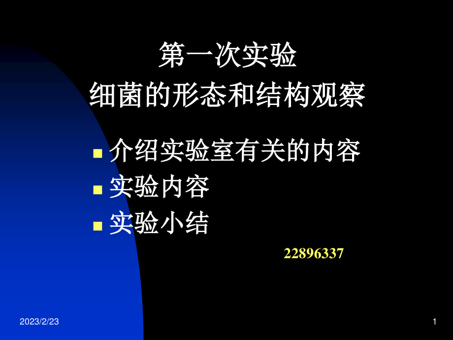 一、细菌的形态与结构观察.ppt_第1页