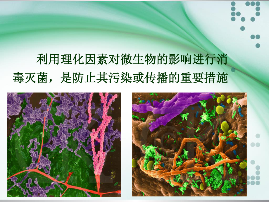 4.消毒灭菌与噬菌体(人卫8版).ppt_第2页