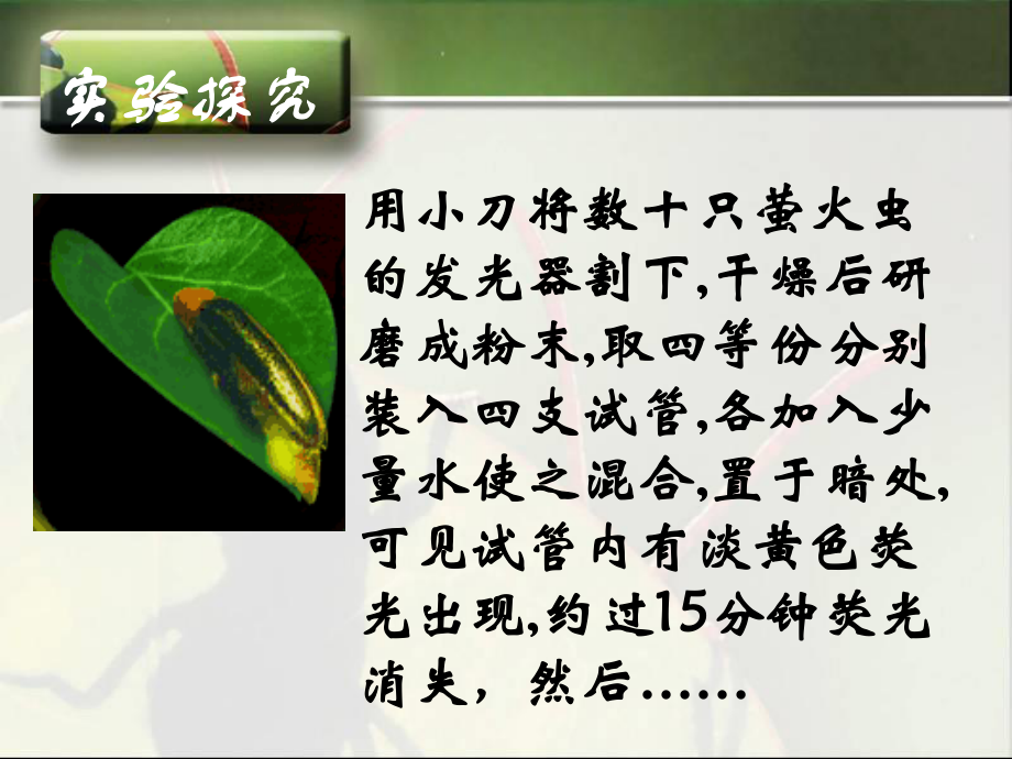 免费细胞能量通货ATP新课.ppt_第2页