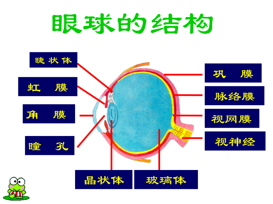 七下3-4-4(2)人日对周围世界的感知耳与听觉.ppt_第1页