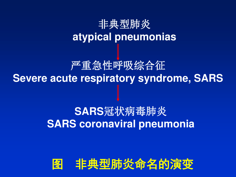 严重急性呼吸综合征.ppt_第2页