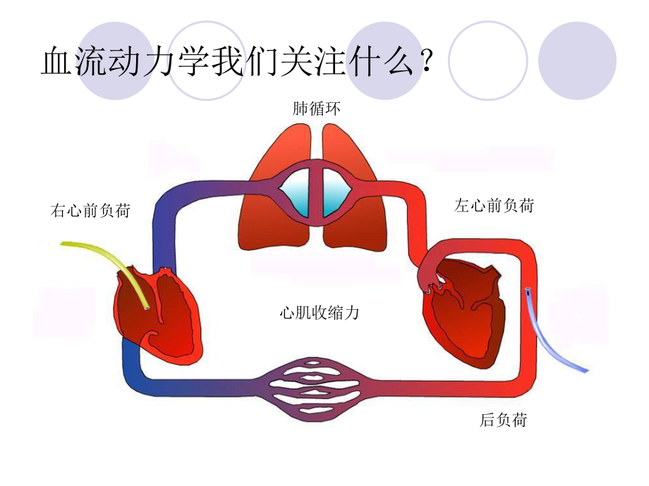 PICCO参数解读与血流动力学.ppt_第2页