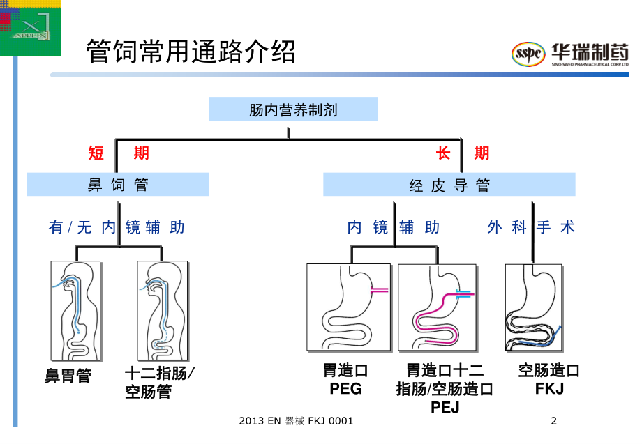 FKJ-胸外空肠造口术.ppt_第2页