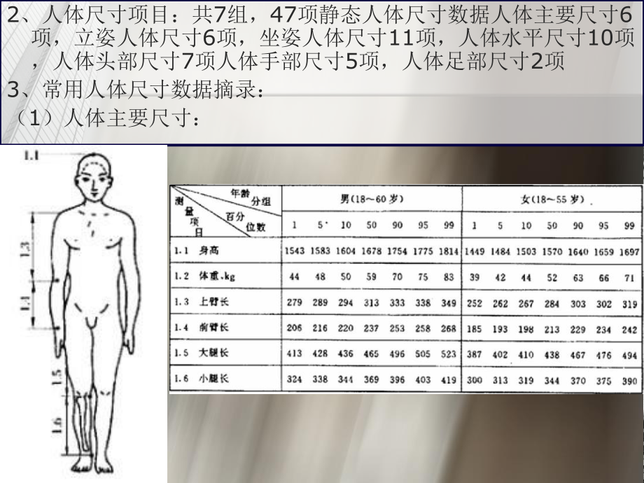 人体尺寸及其应用方法..ppt_第3页