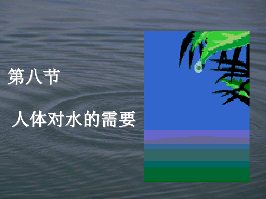 人体对水的需要.ppt_第1页