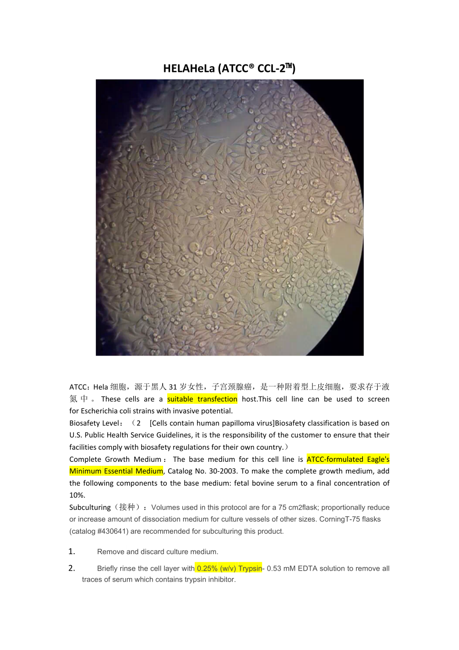 hct-116、hela、MEFs细胞参数介绍.doc_第1页