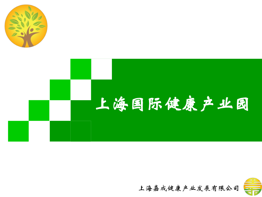 上海国际健康产业园招商政策.pdf_第1页