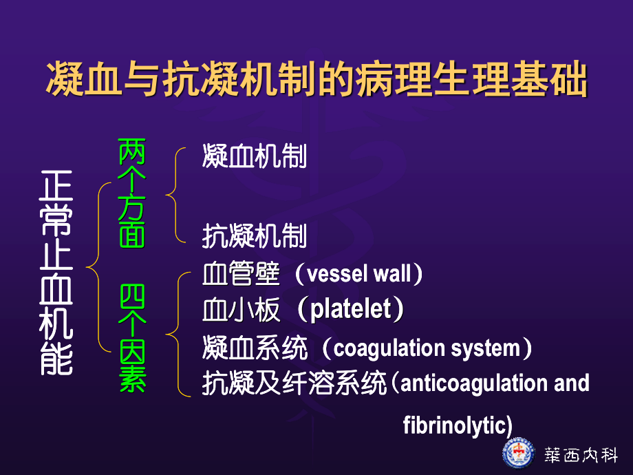 凝血酶形成.ppt_第3页