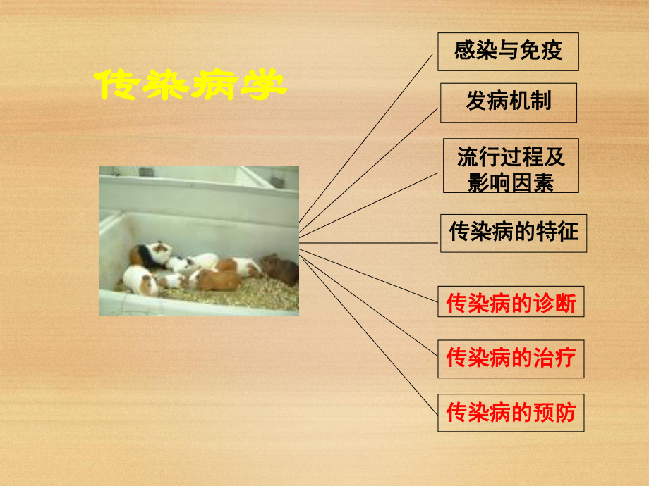 传染病学总论-[第五六七部分].ppt_第3页