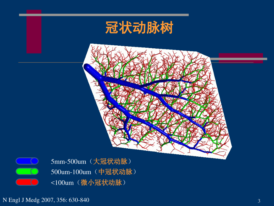 冠状动脉微血管病变及对策.ppt_第3页