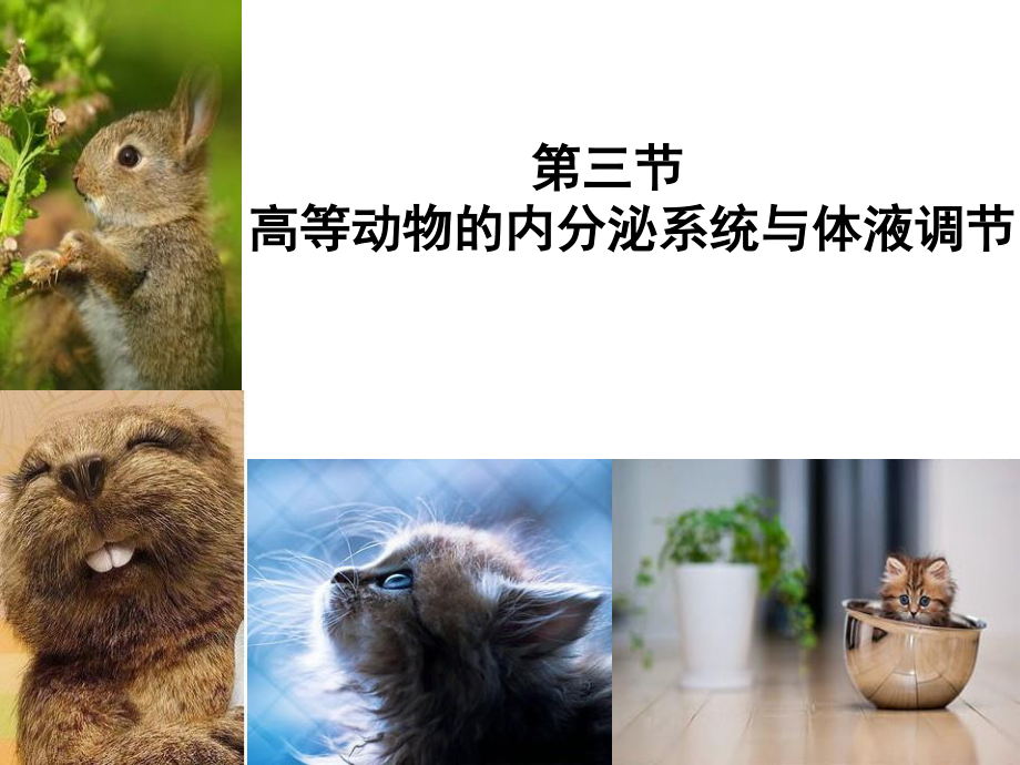 内分泌系统与体液调节(一).ppt_第1页