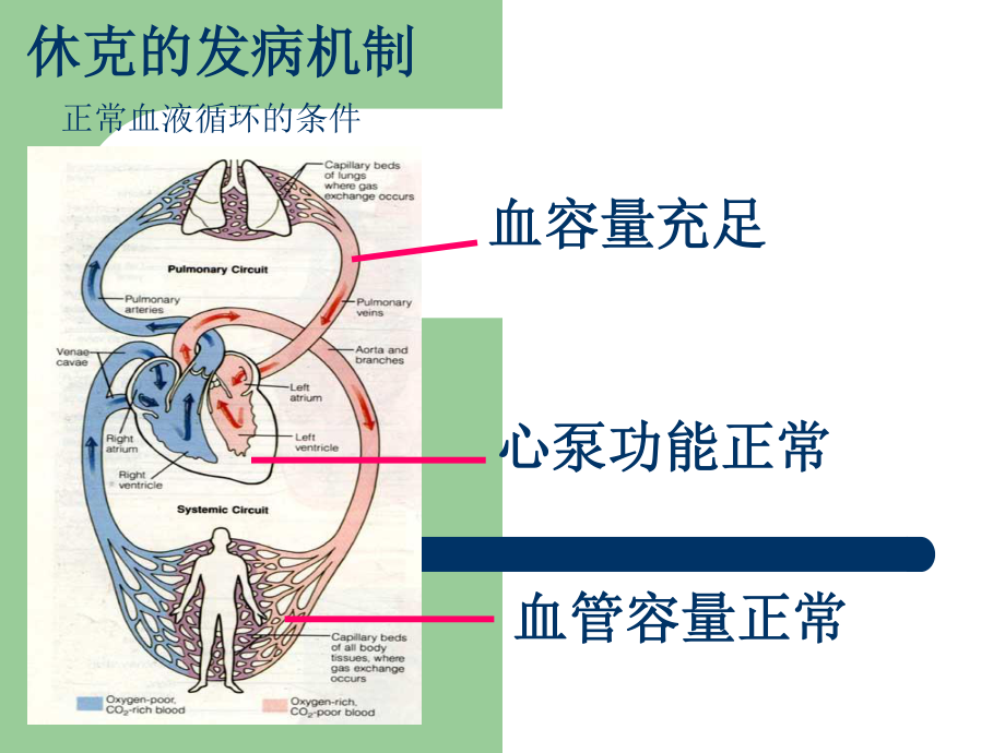 中毒性休克综合征.ppt_第3页