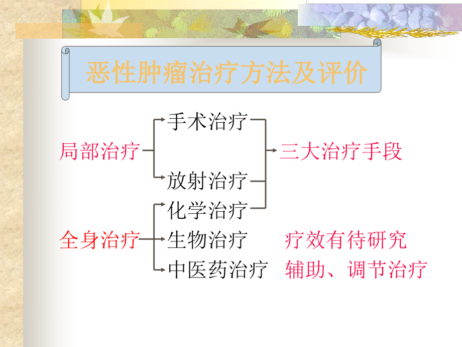 化疗毒副作用的防治.ppt_第3页