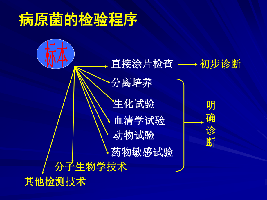 5细菌感染的检查与防治.ppt_第3页