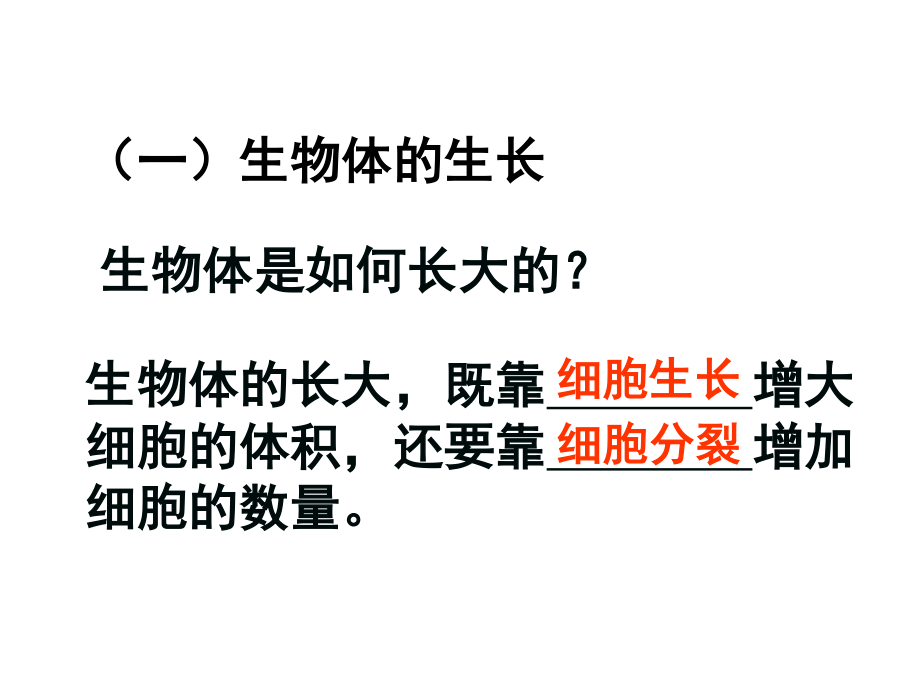 6.1细胞的增殖好动画.ppt_第3页