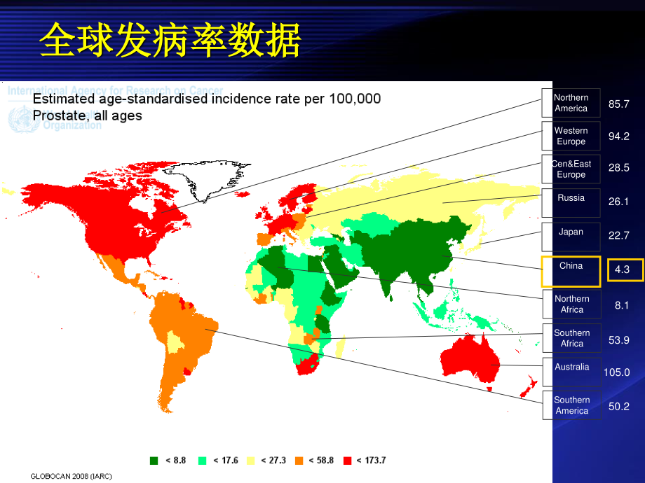 前列腺癌化疗.ppt_第2页