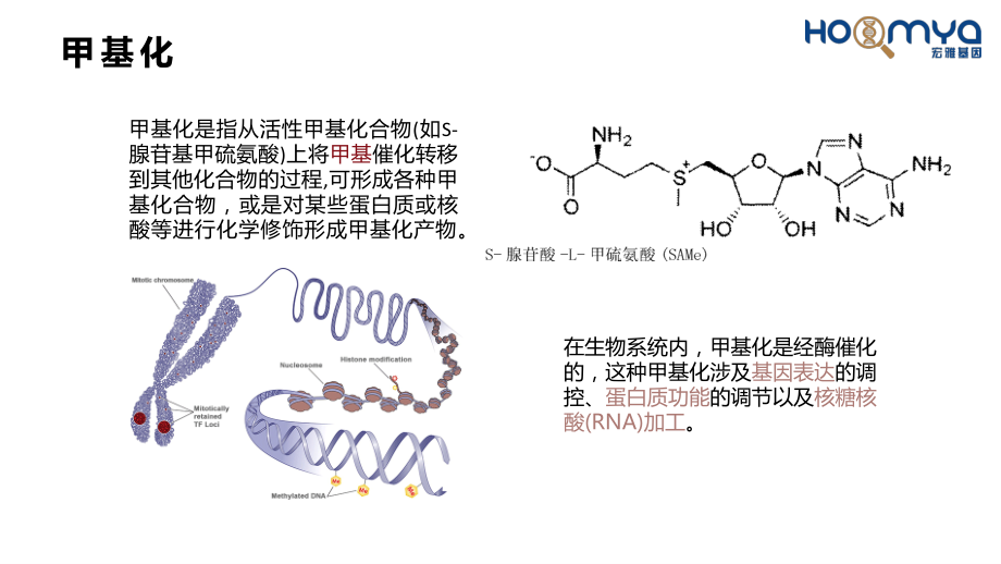 DNA甲基化与癌症-陶红.pdf_第3页