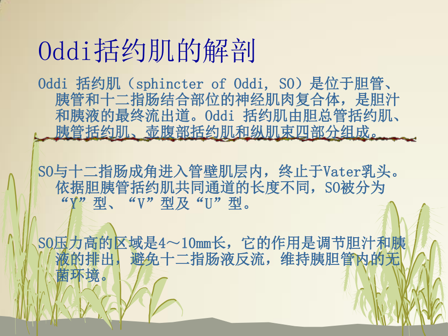 Oddi括约肌功能障碍(SOD).ppt_第2页