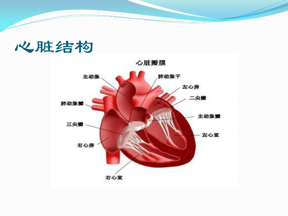 二尖瓣狭窄伴关闭不全导致的症状.ppt_第3页