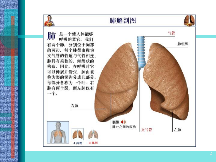 dl呼吸功能衰竭.ppt_第2页