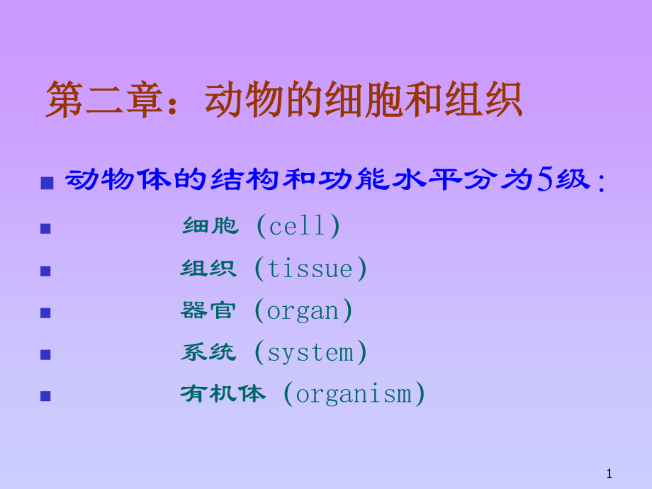 动物的细胞和组织.ppt_第1页