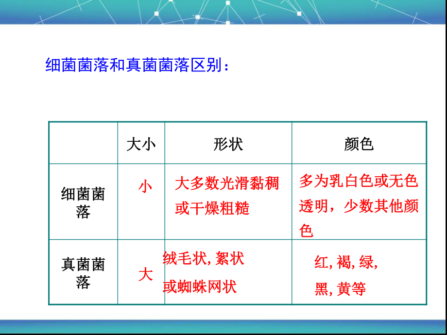 5.4.2细菌3.ppt_第2页