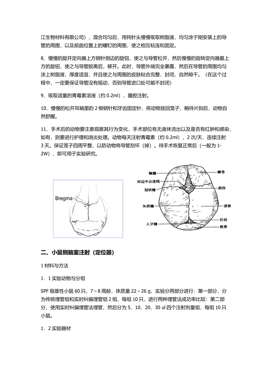 侧脑室注射.docx_第3页